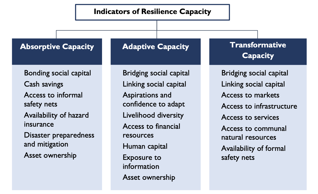 Indicators of Resilience Capacity
