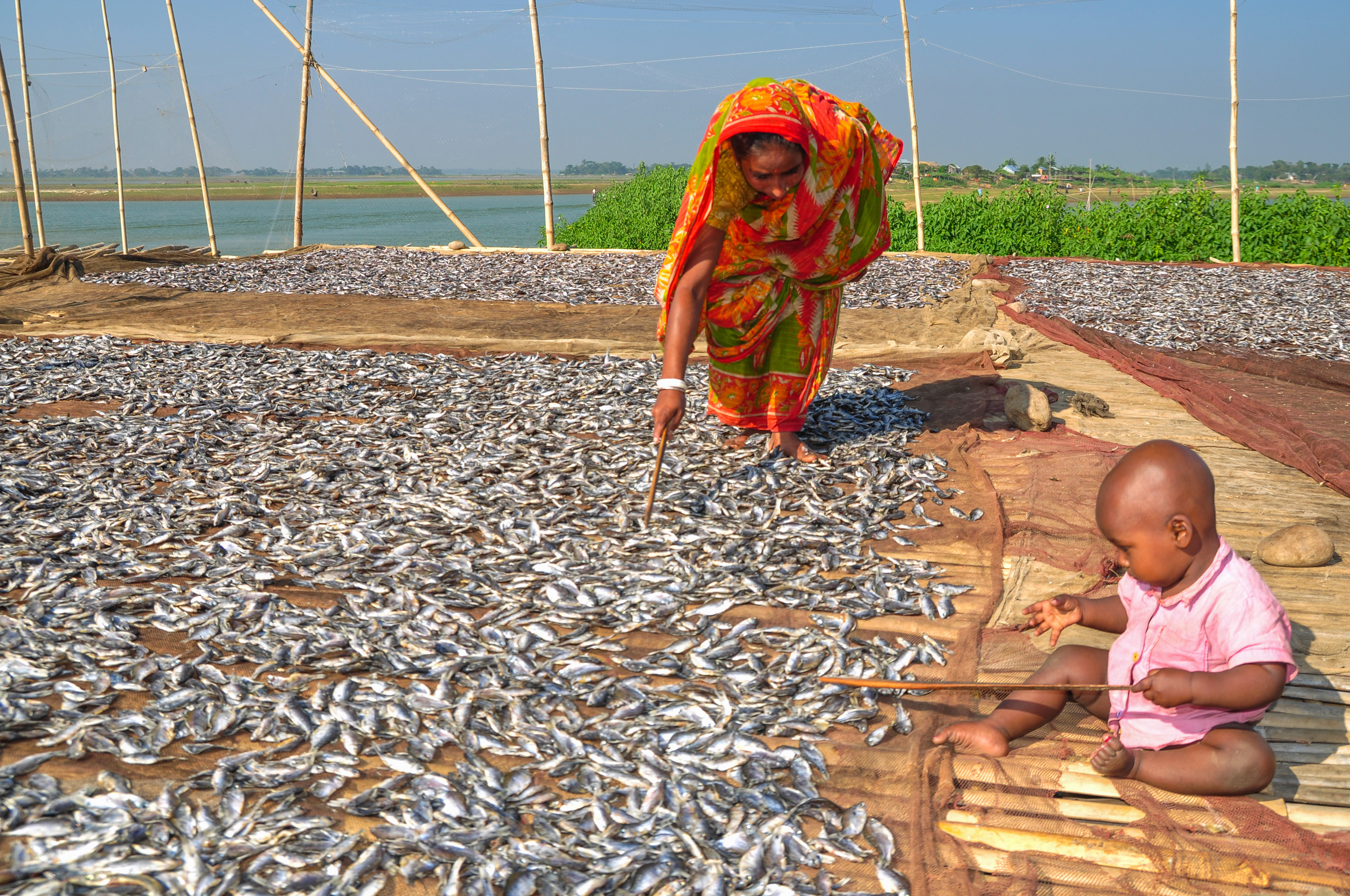 bangladeshi woman with fish