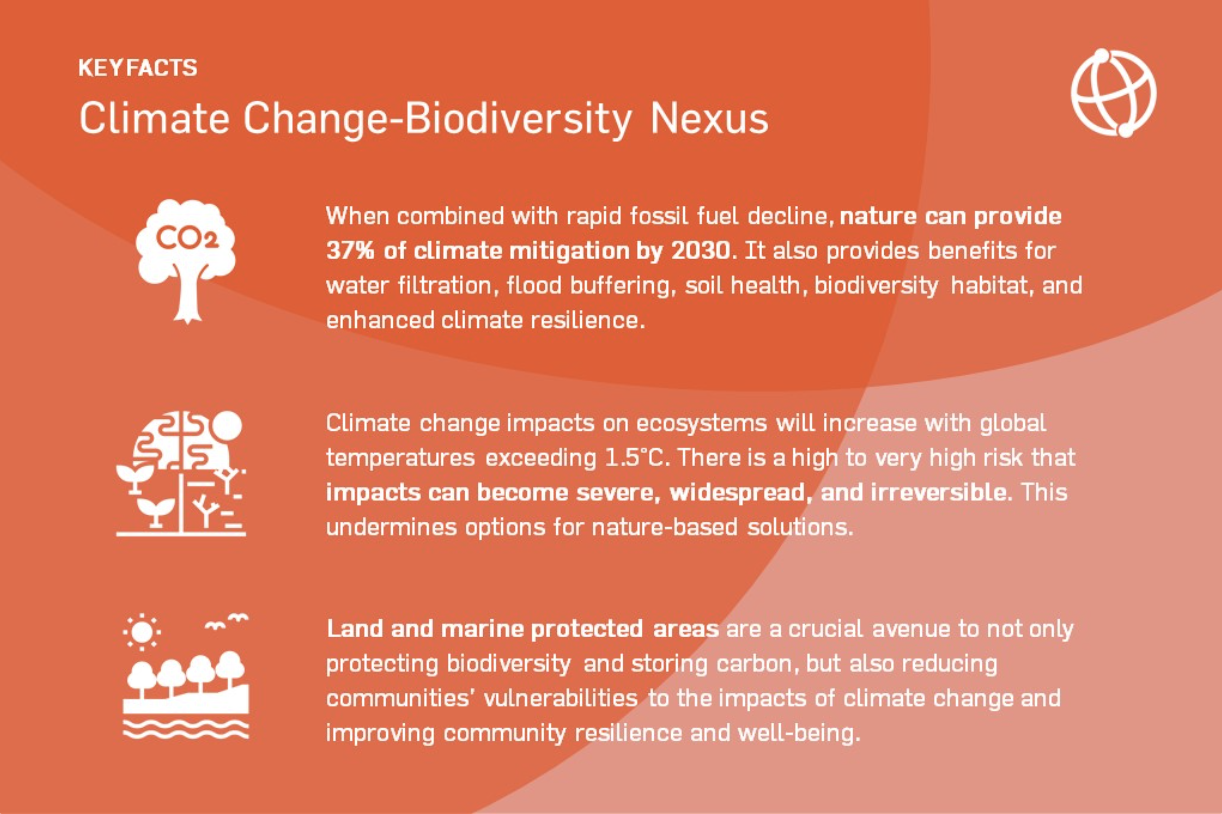 Climate change and biodiversity loss must be addressed urgently and ambitiously—neither will be successfully resolved unless both are tackled together.