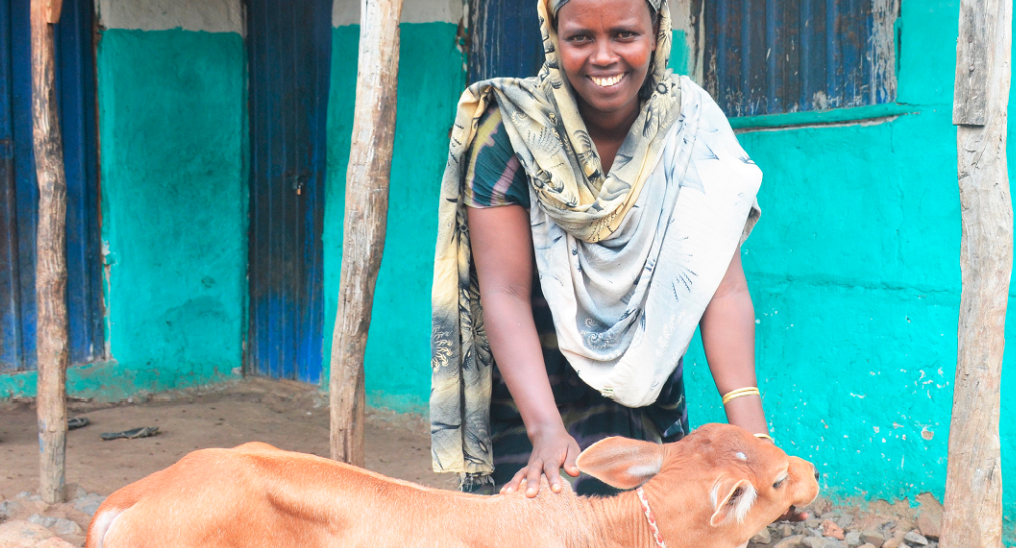 Woman with headscarf smiles while petting a young cow.